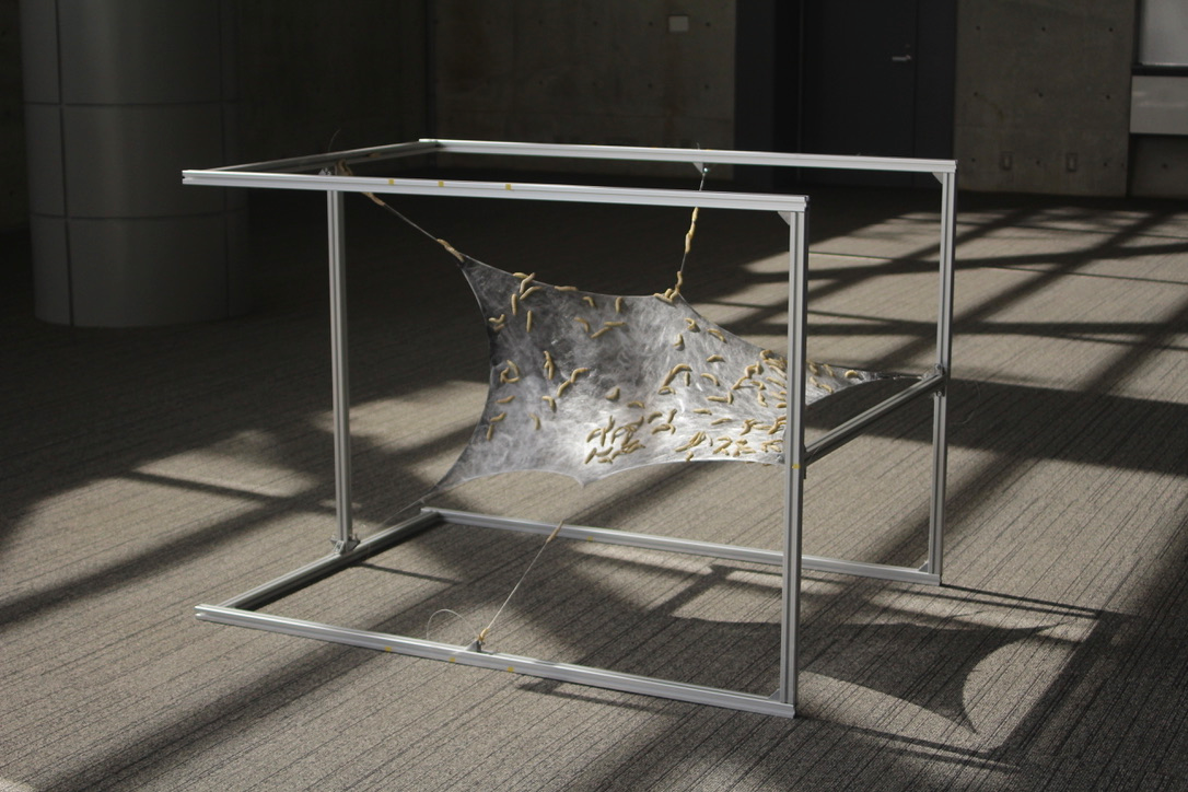 SILK-BioCraft Image 19